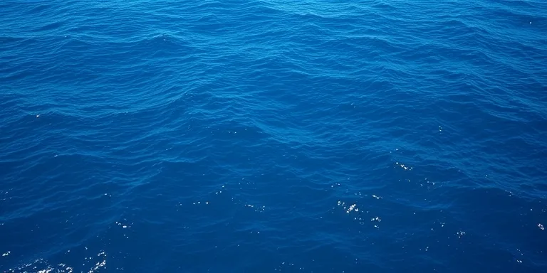 Blue Ocean Strateji